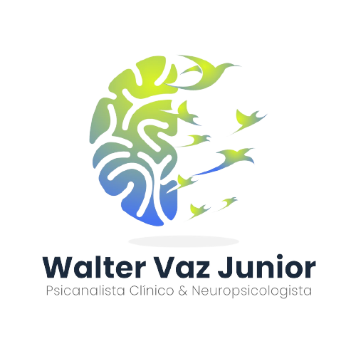Walter Vaz Jr.